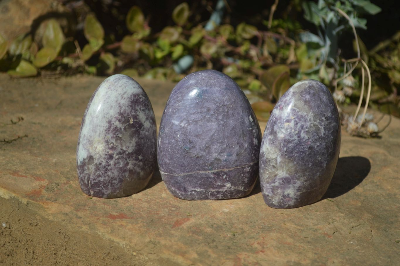 Polished Purple Lepidolite Standing Free Forms  x 6 From Madagascar - Toprock Gemstones and Minerals 