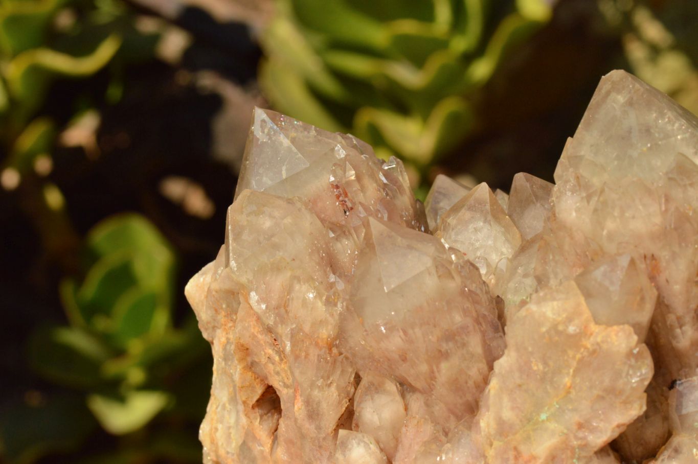 Natural Cascading Smokey Phantom Quartz Cluster x 1 From Luena, Congo - TopRock