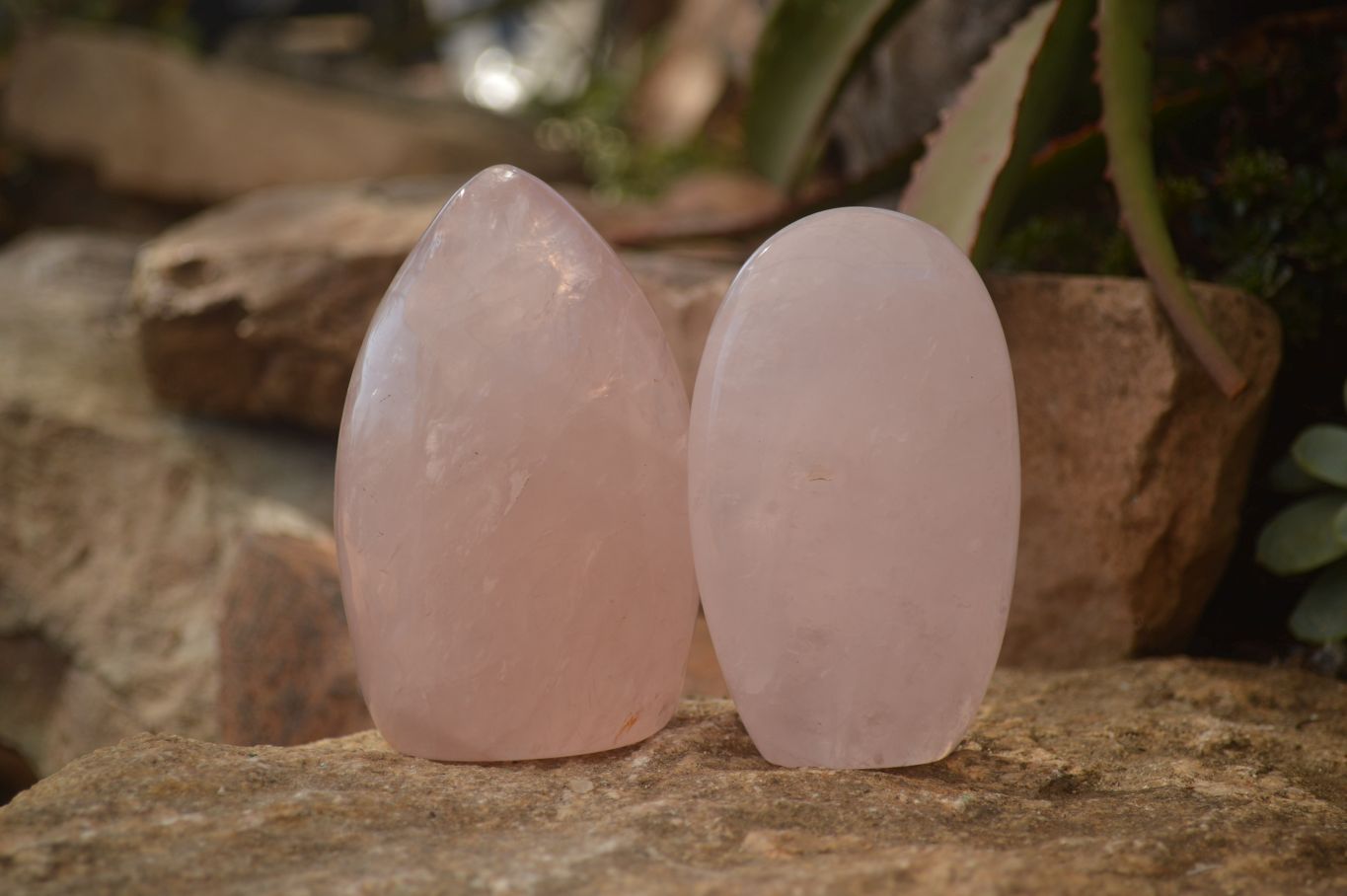 Polished Gemmy Pink Rose Quartz Standing Free Forms x 3 From Antsirabe, Madagascar - Toprock Gemstones and Minerals 