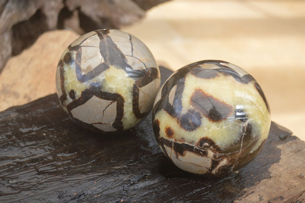Polished Septaria (Calcite & Aragonite) Spheres  x 4 From Madagascar - Toprock Gemstones and Minerals 