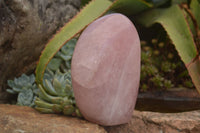 Polished Gemmy Pink Rose Quartz Standing Free Form x 1 From Ambatondrazaka, Madagascar - TopRock