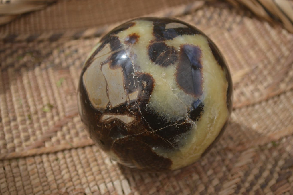 Polished Septaria (Calcite & Aragonite) Spheres  x 4 From Madagascar - Toprock Gemstones and Minerals 