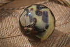 Polished Septaria (Calcite & Aragonite) Spheres  x 4 From Madagascar - Toprock Gemstones and Minerals 