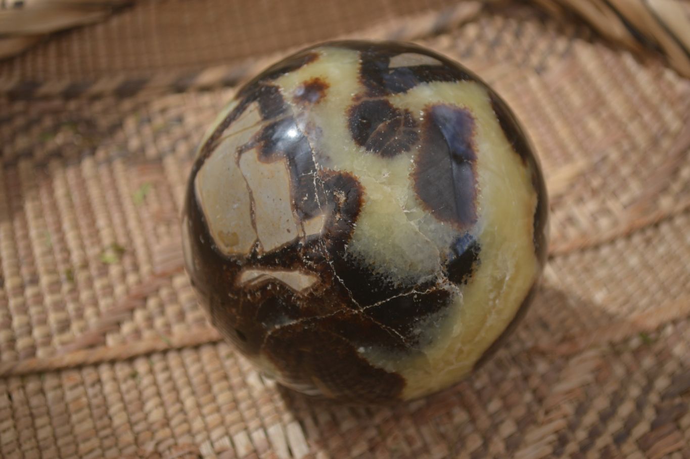 Polished Septaria (Calcite & Aragonite) Spheres  x 4 From Madagascar - Toprock Gemstones and Minerals 