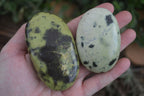 Polished Leopard Stone Gallets  x 6 From Zimbabwe - Toprock Gemstones and Minerals 