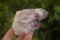 Natural Sugar Amethyst Clusters  x 6 From Solwezi, Zambia - Toprock Gemstones and Minerals 