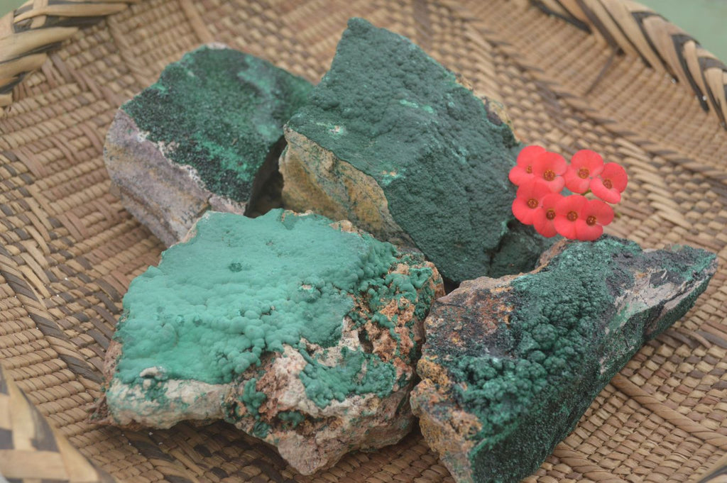 Natural Micro Botryoidal Crystalline Malachite Specimens  x 4 From Tenke Fungurume, Congo - TopRock