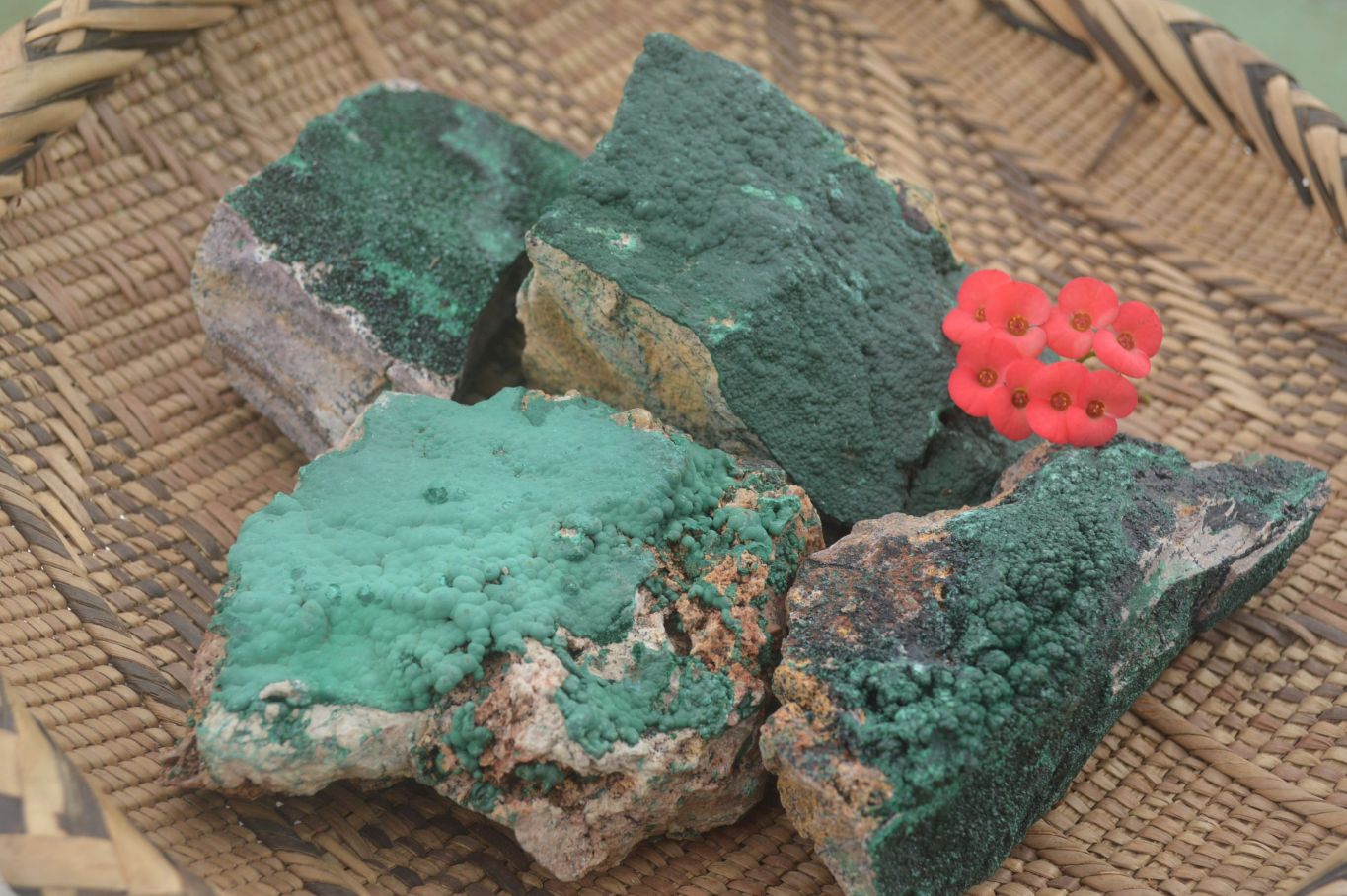 Natural Micro Botryoidal Crystalline Malachite Specimens  x 4 From Tenke Fungurume, Congo - TopRock