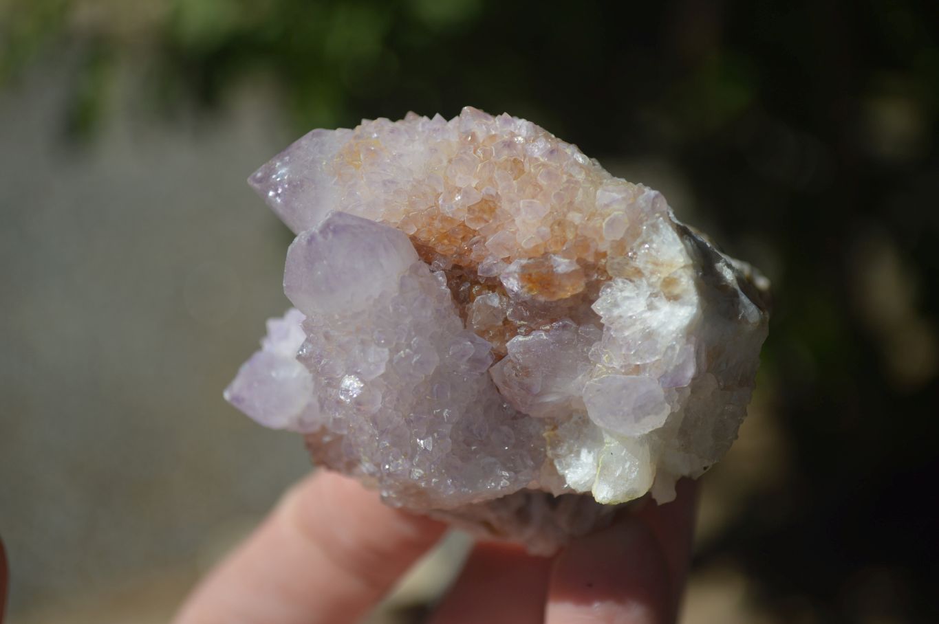 Natural Mixed Spirit Amethyst Quartz Clusters  x 12 From Boekenhouthoek, South Africa - Toprock Gemstones and Minerals 