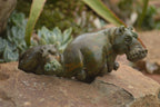 Polished Verdite Hippo Carvings  x 3 From Zimbabwe - TopRock