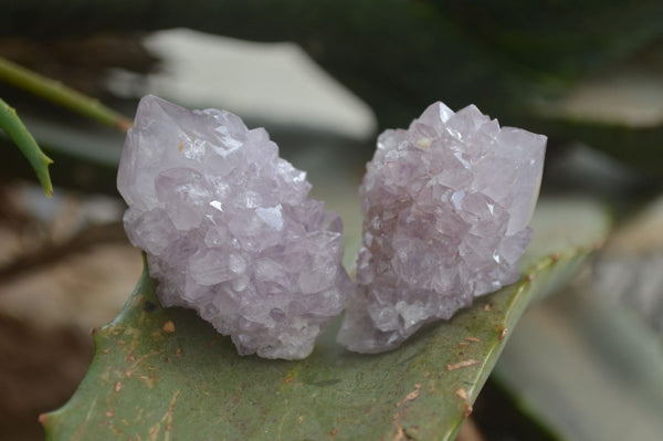 Natural Spirit Amethyst Quartz Crystals  x 12 From Boekenhouthoek, South Africa - Toprock Gemstones and Minerals 
