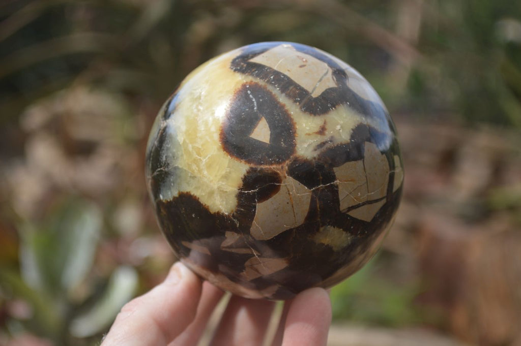 Polished Septaria (Calcite & Aragonite) Spheres  x 4 From Madagascar - Toprock Gemstones and Minerals 