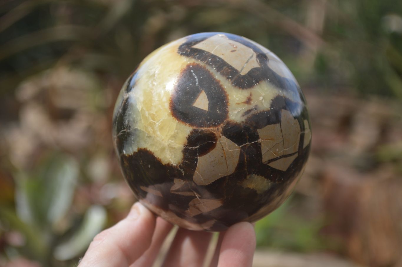 Polished Septaria (Calcite & Aragonite) Spheres  x 4 From Madagascar - Toprock Gemstones and Minerals 