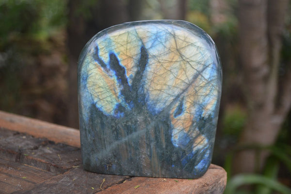 Polished Labradorite Standing Free Form With Intense Blue & Gold Flash x 1 From Tulear, Madagascar - Toprock Gemstones and Minerals 