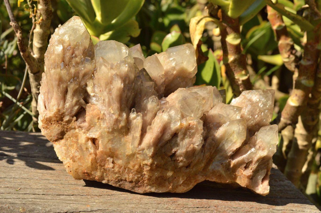 Natural Cascading Smokey Phantom Quartz Cluster x 1 From Luena, Congo - TopRock