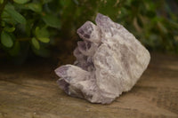 Natural Sugar Amethyst Clusters  x 6 From Solwezi, Zambia - Toprock Gemstones and Minerals 