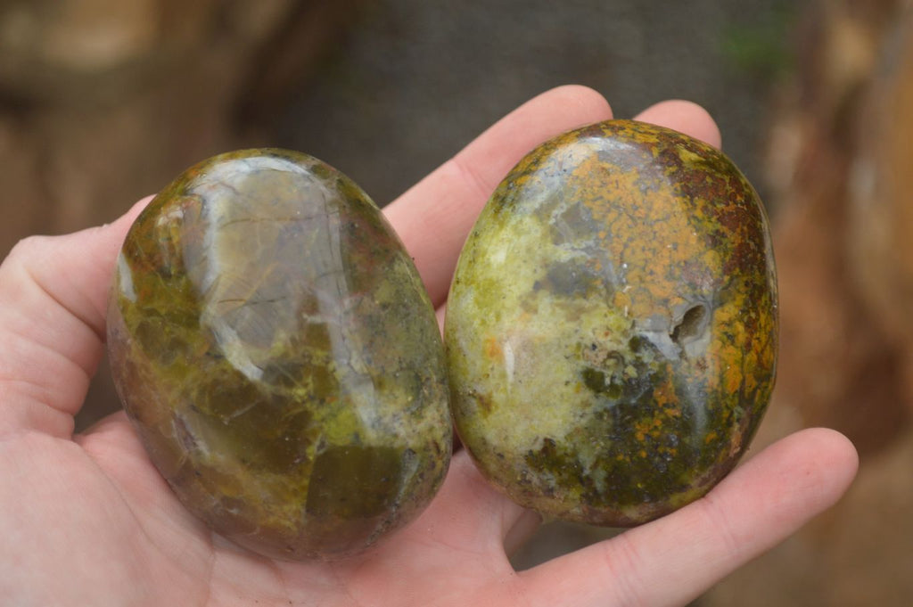 Polished Lovely Mixed Selection Of Palm Stones  x 12 From Madagascar - TopRock