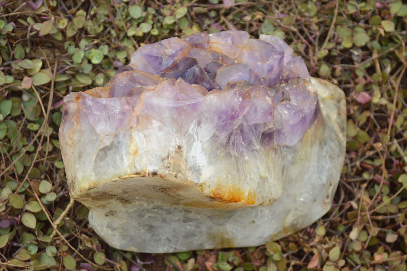 Polished Large Amethyst Agate Display Piece x 1 From Madagascar - TopRock
