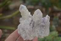 Natural Sugar Amethyst Clusters  x 6 From Solwezi, Zambia - Toprock Gemstones and Minerals 