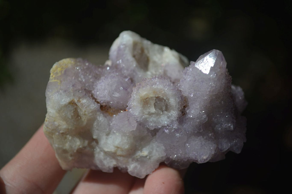 Natural Mixed Spirit Amethyst Quartz Clusters  x 12 From Boekenhouthoek, South Africa - Toprock Gemstones and Minerals 