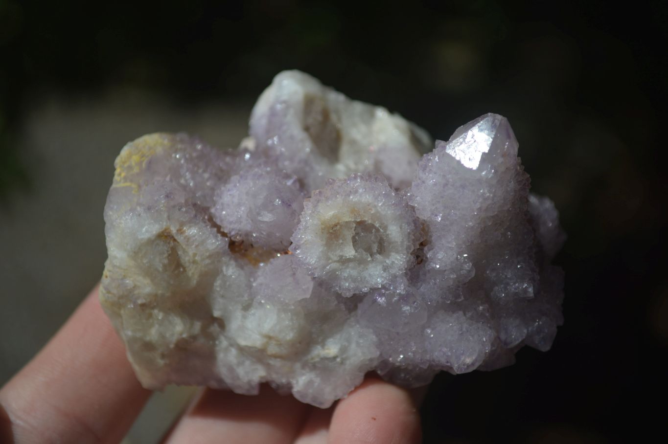 Natural Mixed Spirit Amethyst Quartz Clusters  x 12 From Boekenhouthoek, South Africa - Toprock Gemstones and Minerals 