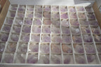 Natural Jacaranda Amethyst Crystals x 70 From Zambia - Toprock Gemstones and Minerals 