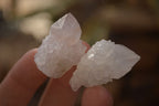 Natural Small White Spirit Quartz Crystals x 70 From Boekenhouthoek, South Africa - Toprock Gemstones and Minerals 