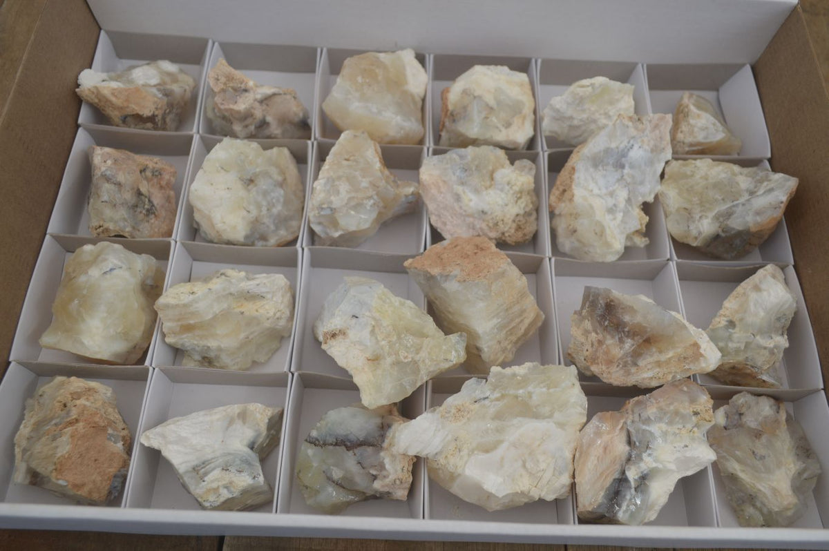 Natural Rough Dendritic White Opal Specimens  x 24 From Namibia - Toprock Gemstones and Minerals 