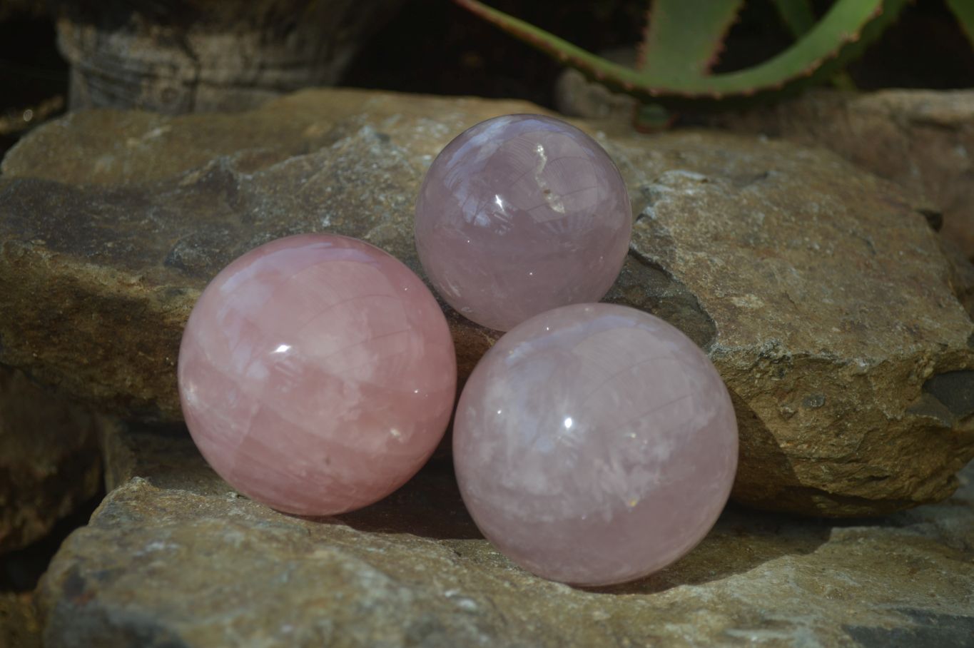 Polished Rare Star Rose Quartz Spheres x 3 From Ambatondrazaka, Madagascar - Toprock Gemstones and Minerals 