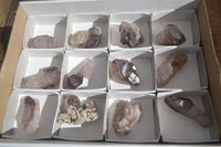 Natural Window Amethyst Crystal Specimens  x 12 From Chiredzi, Zimbabwe - Toprock Gemstones and Minerals 
