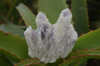 Natural Sugar Amethyst Clusters  x 6 From Solwezi, Zambia - Toprock Gemstones and Minerals 