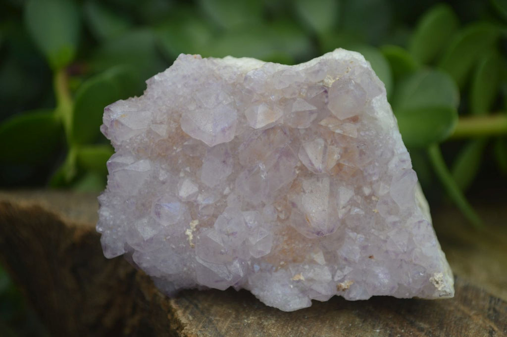 Natural Mixed Spirit Amethyst Quartz Clusters  x 12 From Boekenhouthoek, South Africa - Toprock Gemstones and Minerals 