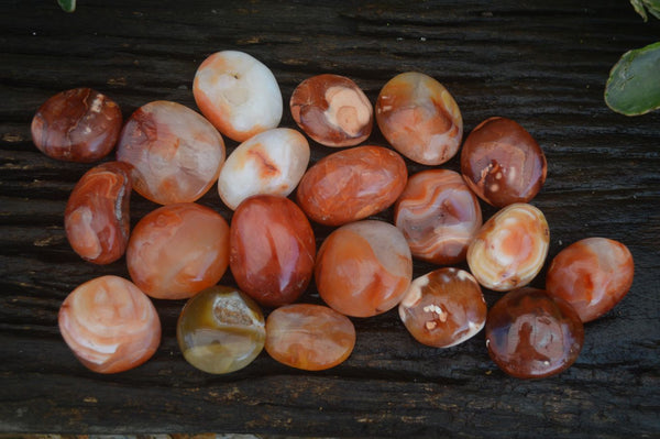 Polished Carnelian Agate Palm Stones  x 20 From Madagascar - Toprock Gemstones and Minerals 