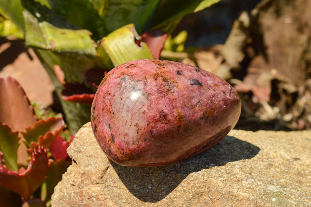 Polished Pink & Black Rhodonite Free Forms  x 6 From Rushinga, Zimbabwe - TopRock