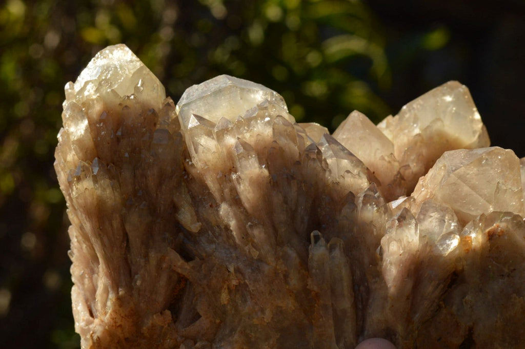 Natural Cascading Smokey Phantom Quartz Cluster x 1 From Luena, Congo - TopRock