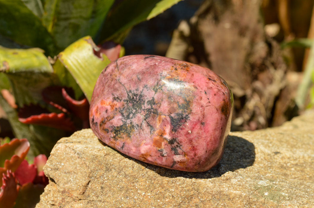Polished Pink & Black Rhodonite Free Forms  x 6 From Rushinga, Zimbabwe - TopRock