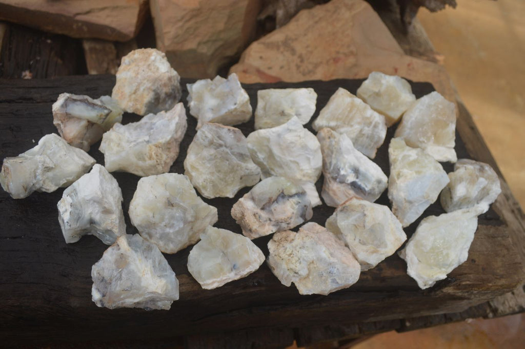 Natural Rough Dendritic White Opal Specimens  x 24 From Namibia - Toprock Gemstones and Minerals 