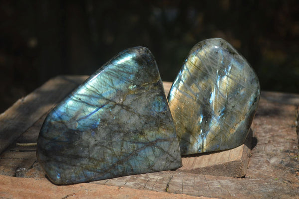 Polished Flashy Labradorite Standing Free Forms  x 2 From Tulear, Madagascar - Toprock Gemstones and Minerals 