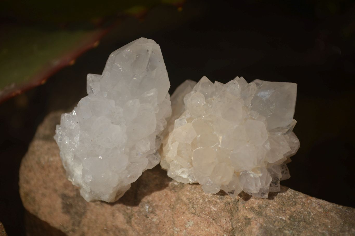 Natural Small White Spirit Quartz Crystals x 70 From Boekenhouthoek, South Africa - Toprock Gemstones and Minerals 