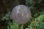 Polished Rare Star Rose Quartz Spheres x 3 From Ambatondrazaka, Madagascar - Toprock Gemstones and Minerals 