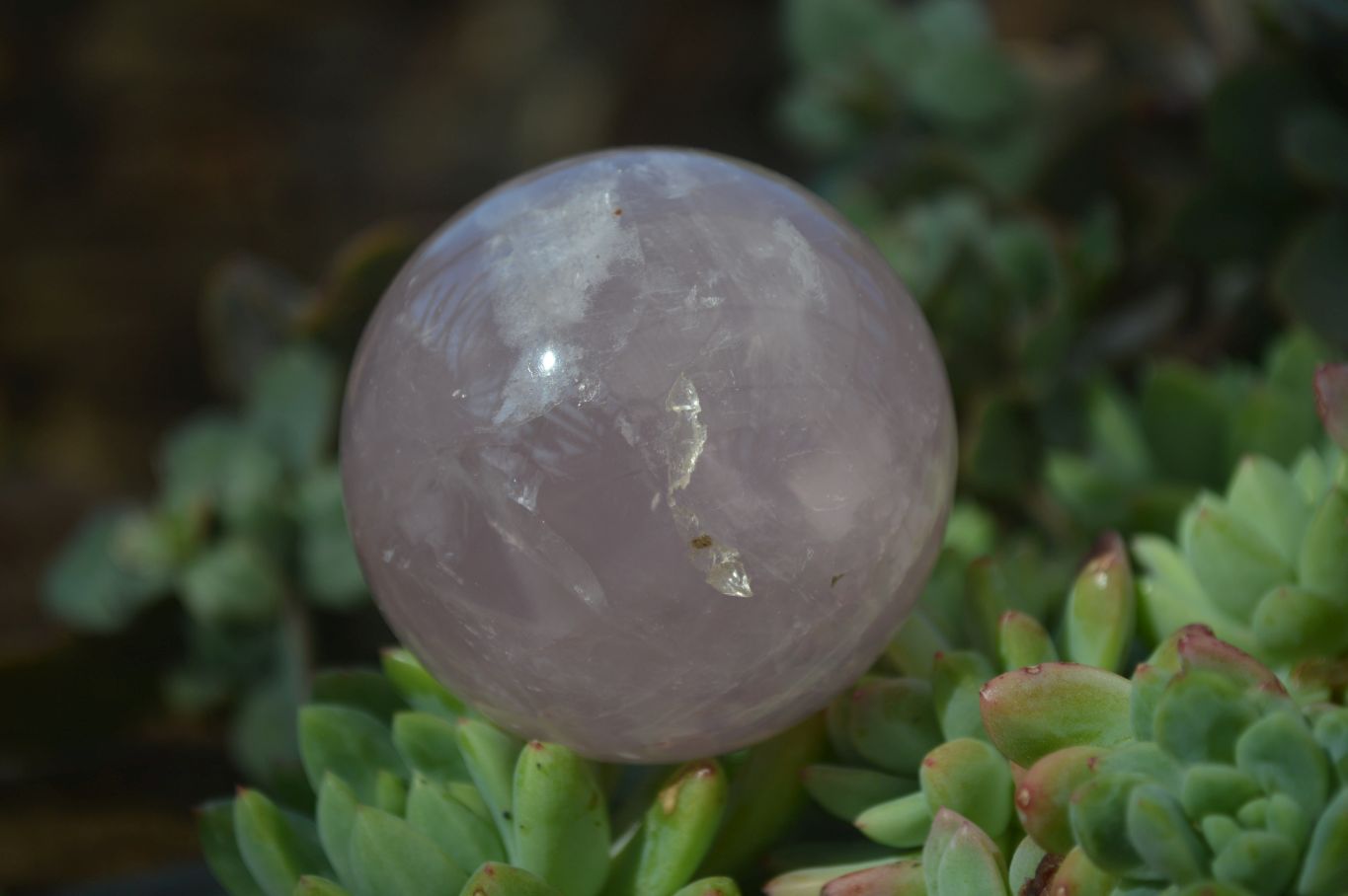 Polished Rare Star Rose Quartz Spheres x 3 From Ambatondrazaka, Madagascar - Toprock Gemstones and Minerals 