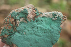 Natural Micro Botryoidal Crystalline Malachite Specimens  x 4 From Tenke Fungurume, Congo - TopRock