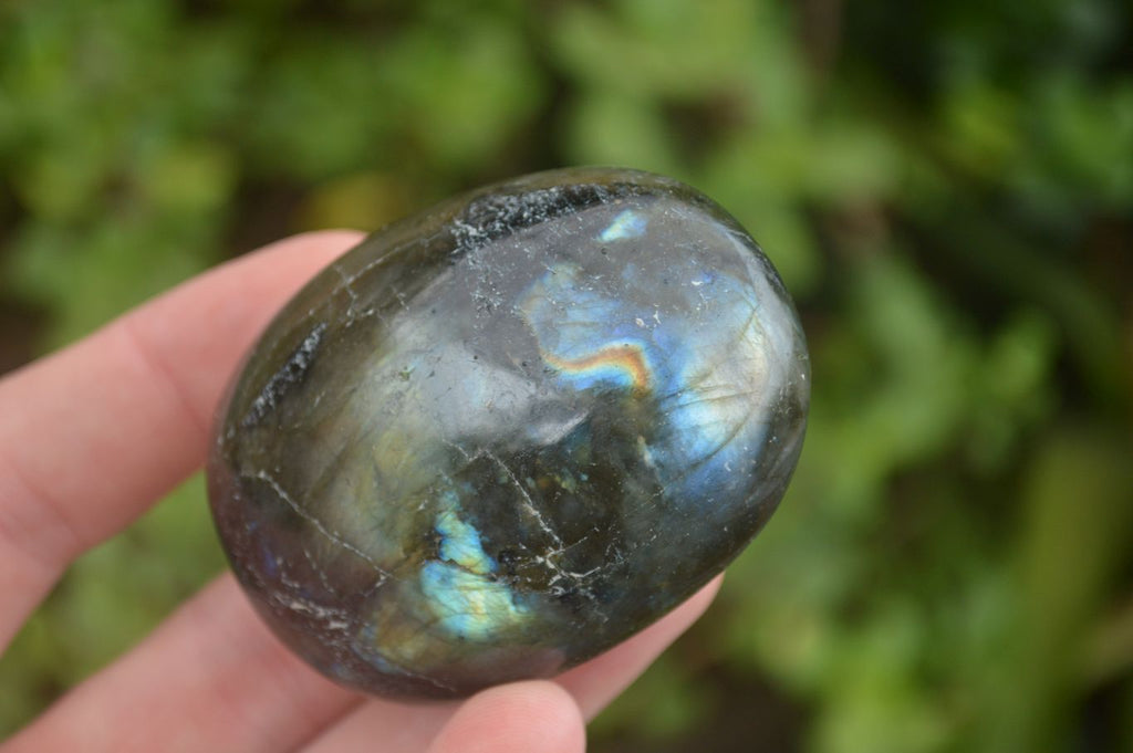 Polished Lovely Mixed Selection Of Palm Stones  x 12 From Madagascar - TopRock