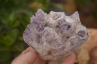 Natural Sugar Amethyst Clusters  x 6 From Solwezi, Zambia - Toprock Gemstones and Minerals 