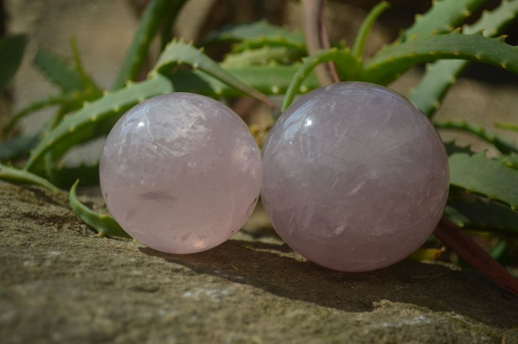 Polished Rare Star Rose Quartz Spheres x 3 From Ambatondrazaka, Madagascar - Toprock Gemstones and Minerals 