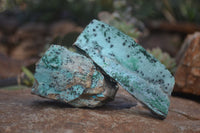 Natural Drusy Coated Chrysocolla Dolomite Specimens x 6 From Likasi, Congo - Toprock Gemstones and Minerals 