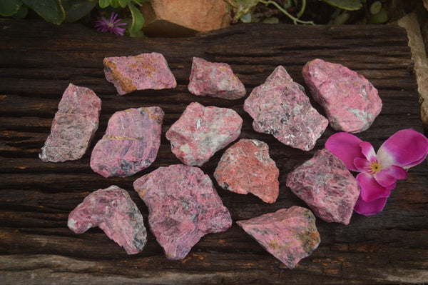 Natural Rough Red Rhodonite Cobbed Specimens  x 12 From Zimbabwe - TopRock