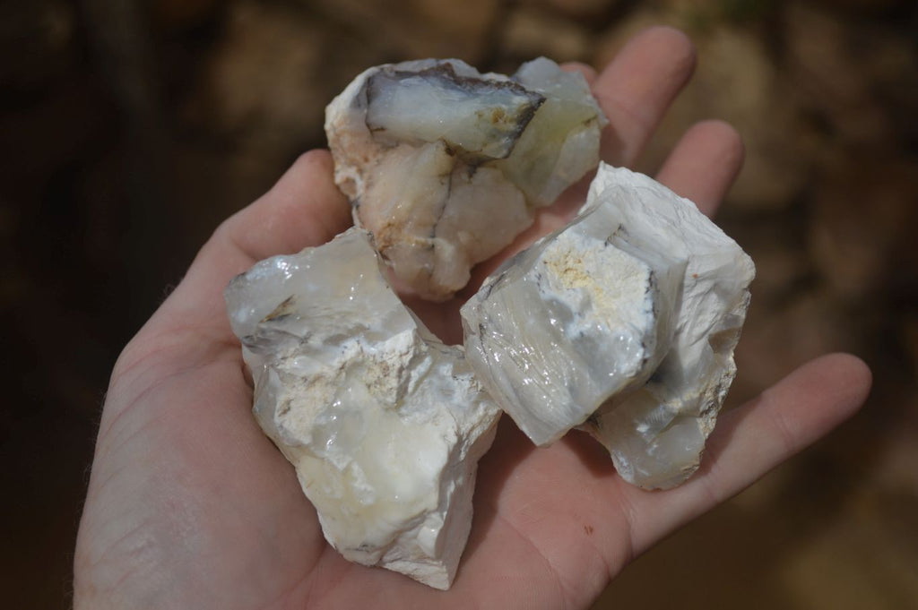 Natural Rough Dendritic White Opal Specimens  x 24 From Namibia - Toprock Gemstones and Minerals 