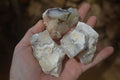 Natural Rough Dendritic White Opal Specimens  x 24 From Namibia - Toprock Gemstones and Minerals 