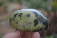 Polished Leopard Stone Gallets  x 6 From Zimbabwe - Toprock Gemstones and Minerals 